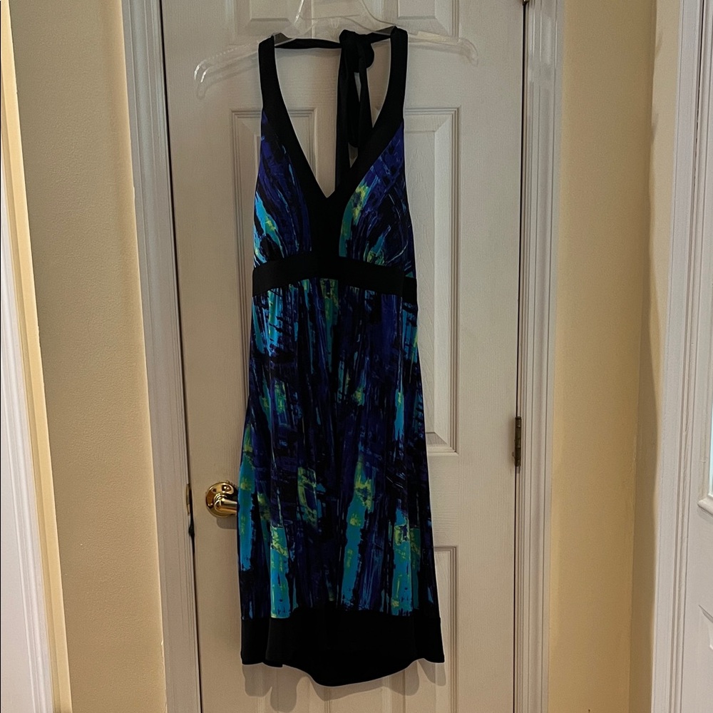 Bisou Bisou Multicolor Backless Dress